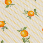 Fruits Oranges Set of 4 Indoor/Outdoor Placemats