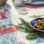 Abersoch Set of 4 Indoor/Outdoor Placemats