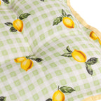 Fruits Lemons Set of 4 Indoor/Outdoor Placemats