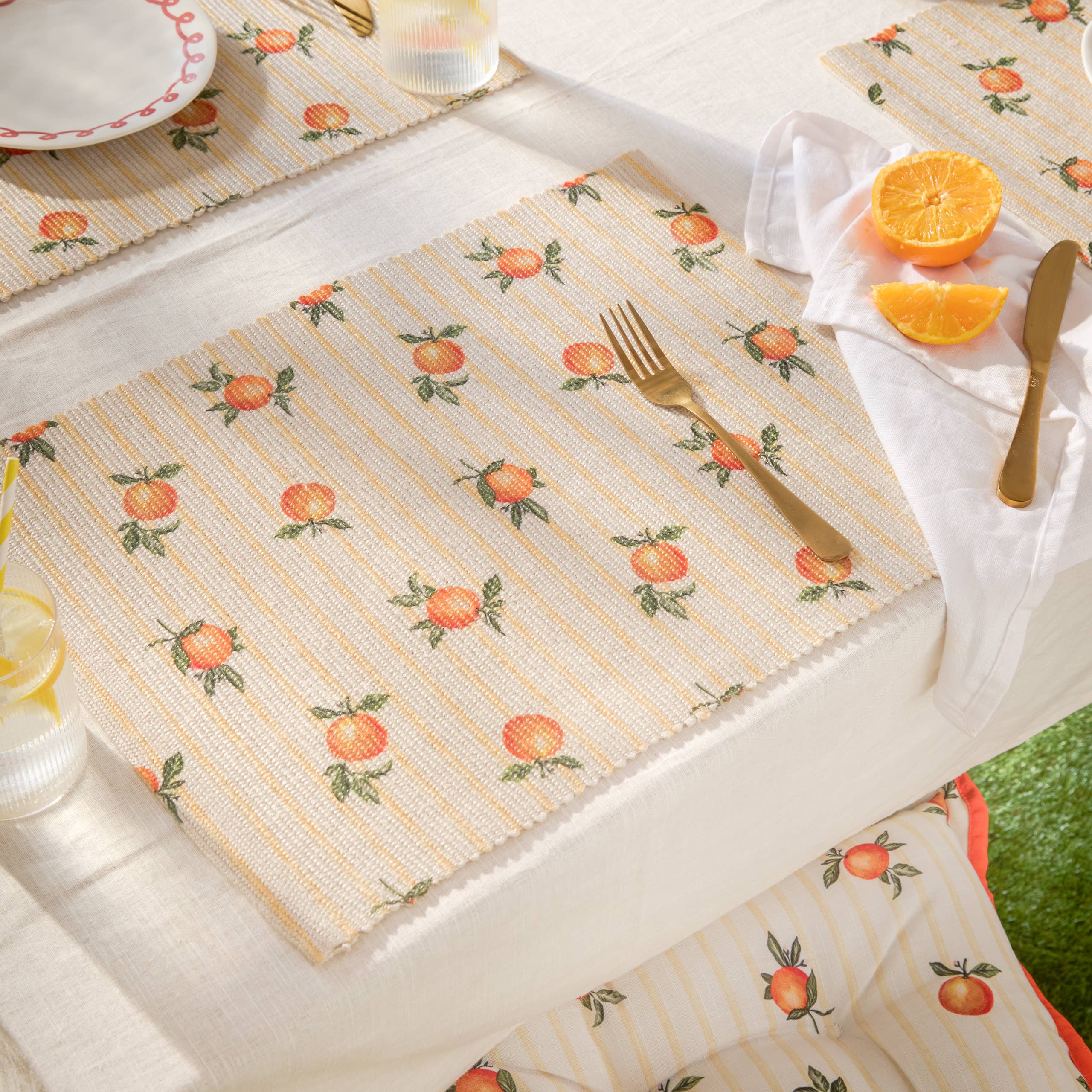 Fruits Oranges Set of 4 Indoor/Outdoor Placemats